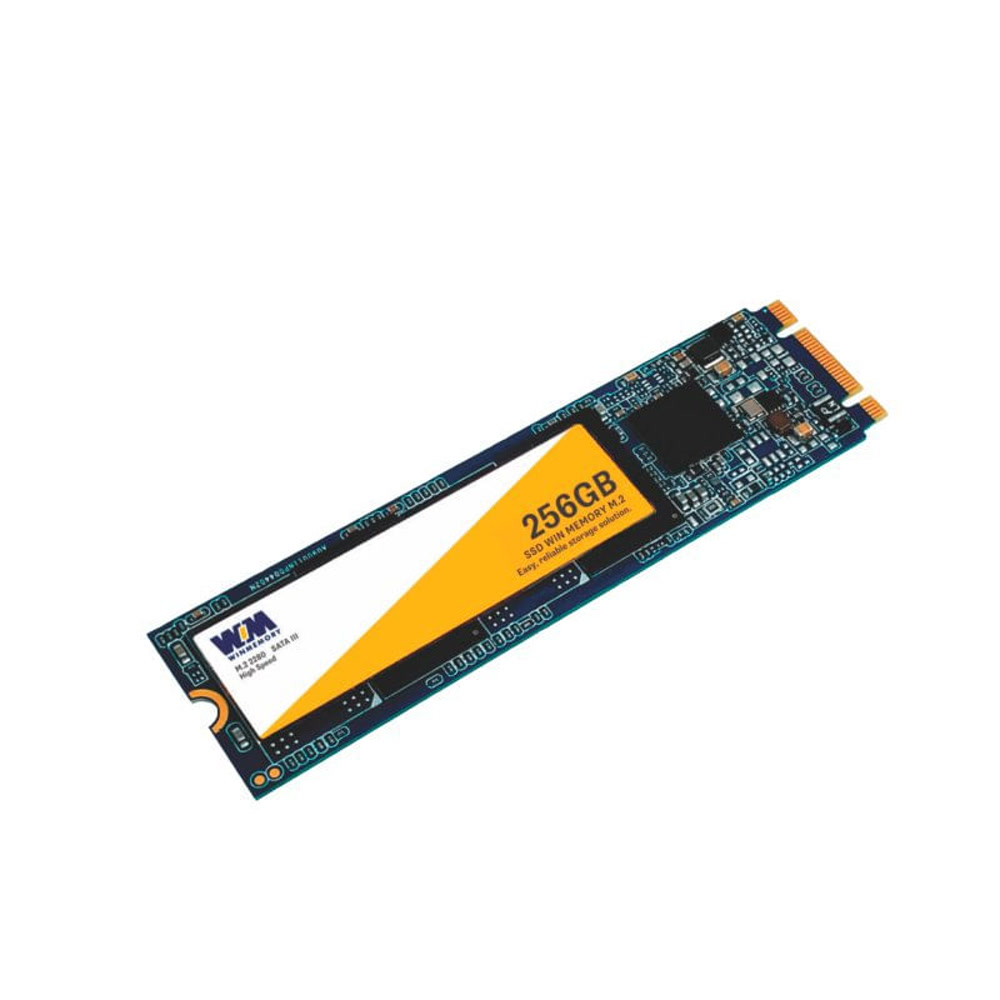 SSD M.2 Winmemory · 256GB PCIe NVMe